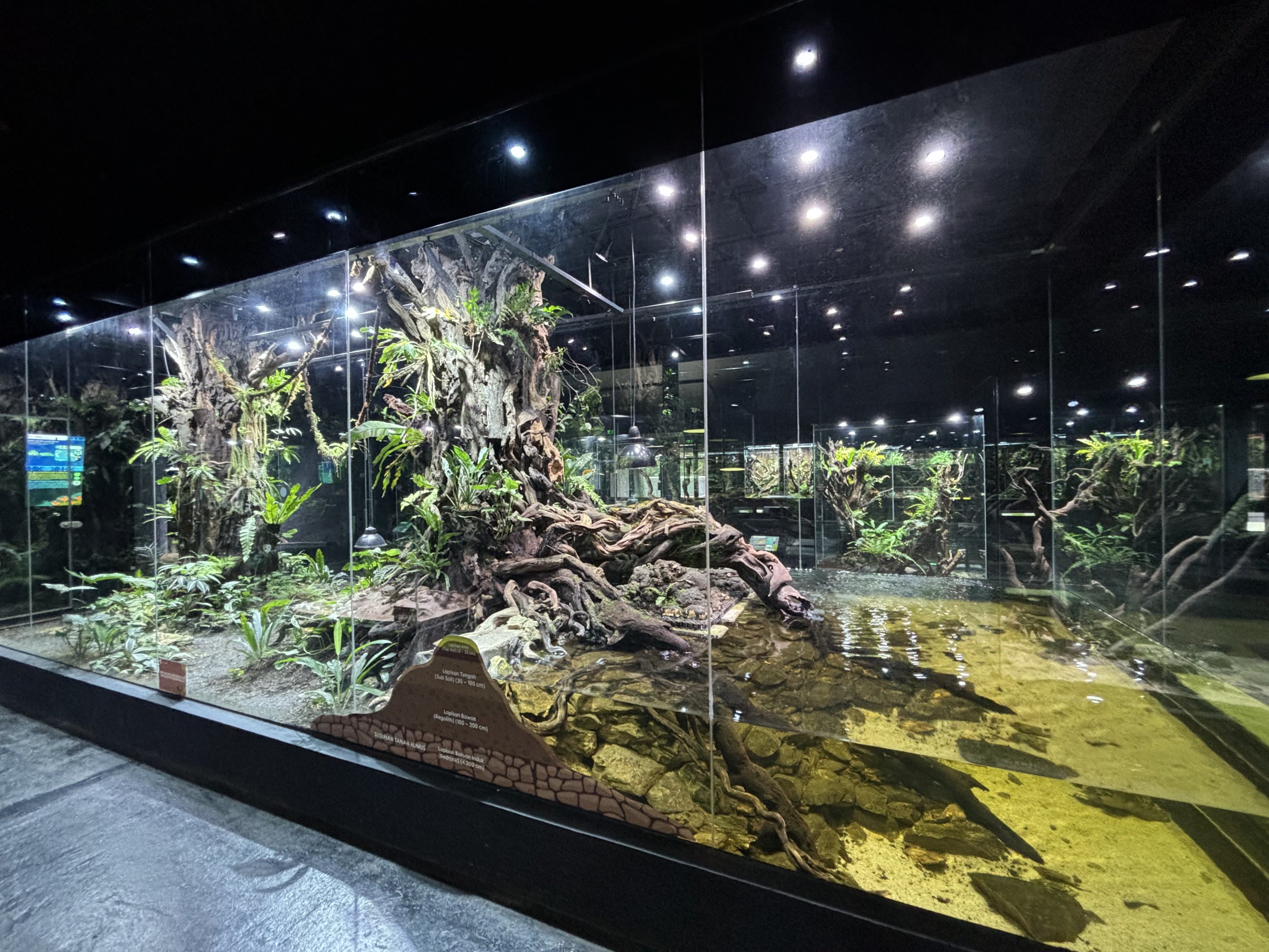 Papuan Biodome - central exhibit inside Reptile House