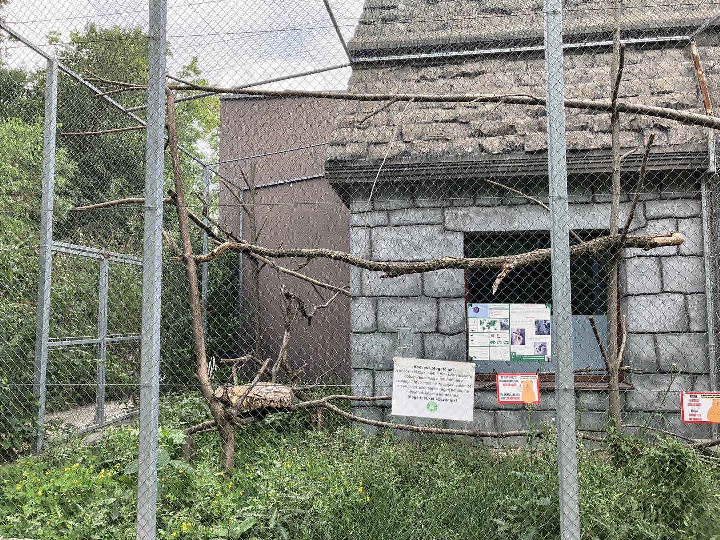 Papuan hornbill aviary