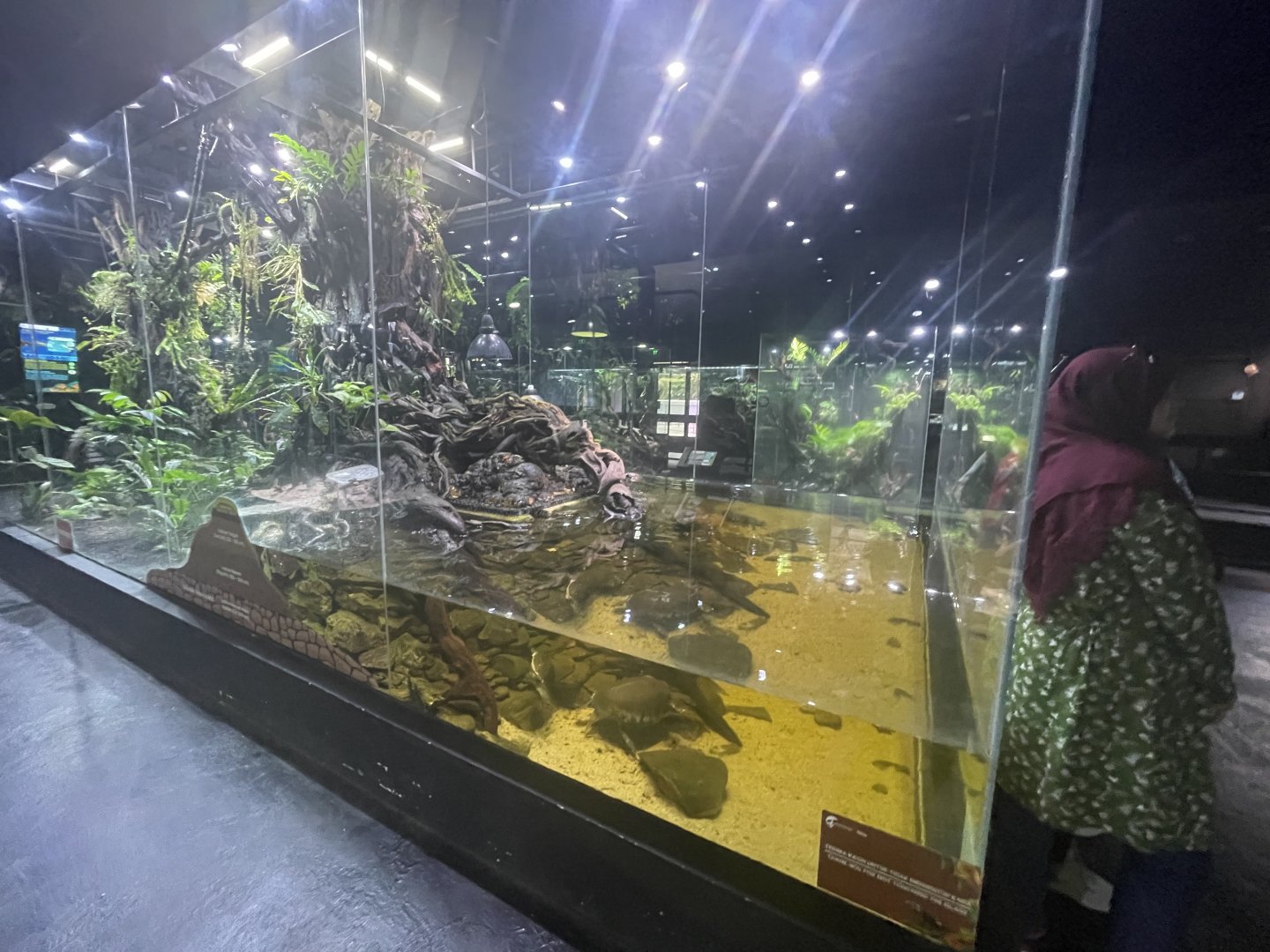papuan-themed exhibit (1) - museum komodo
