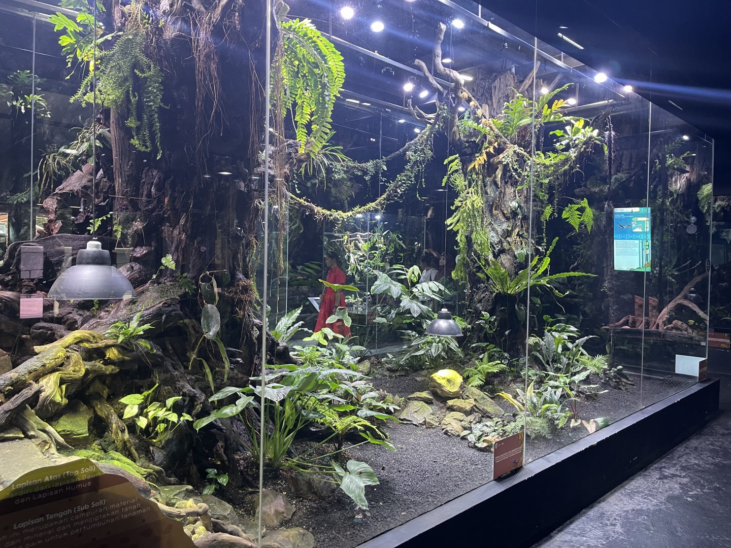 papuan-themed exhibit (3) - museum komodo