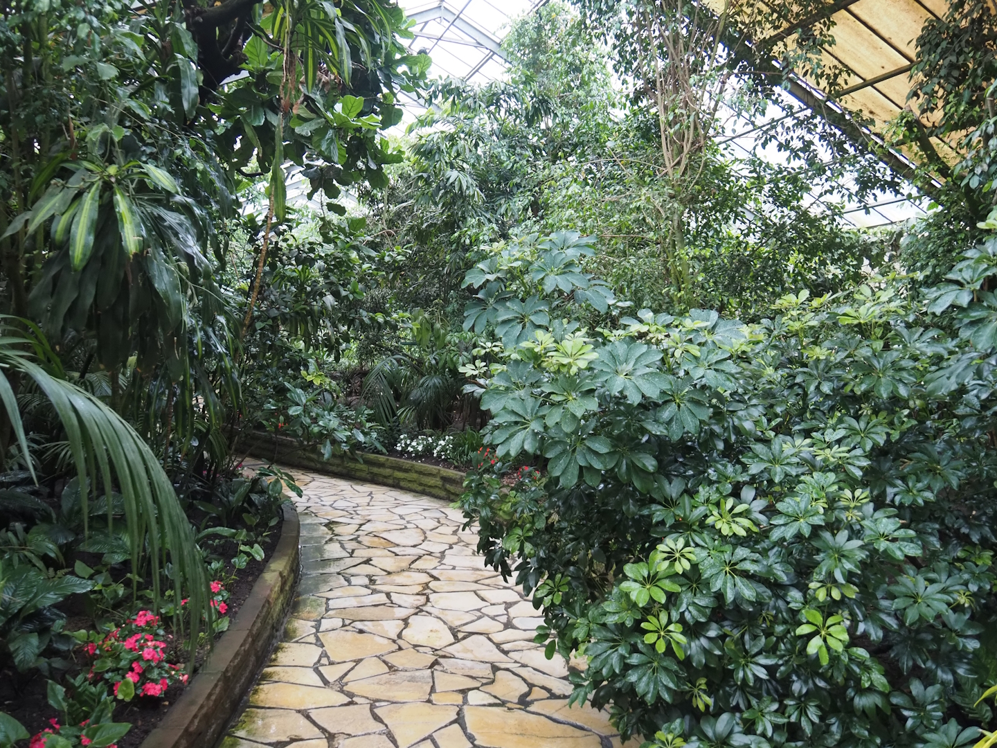 Paradies-Halle - African walk-through tropical hall, 2024-05-22