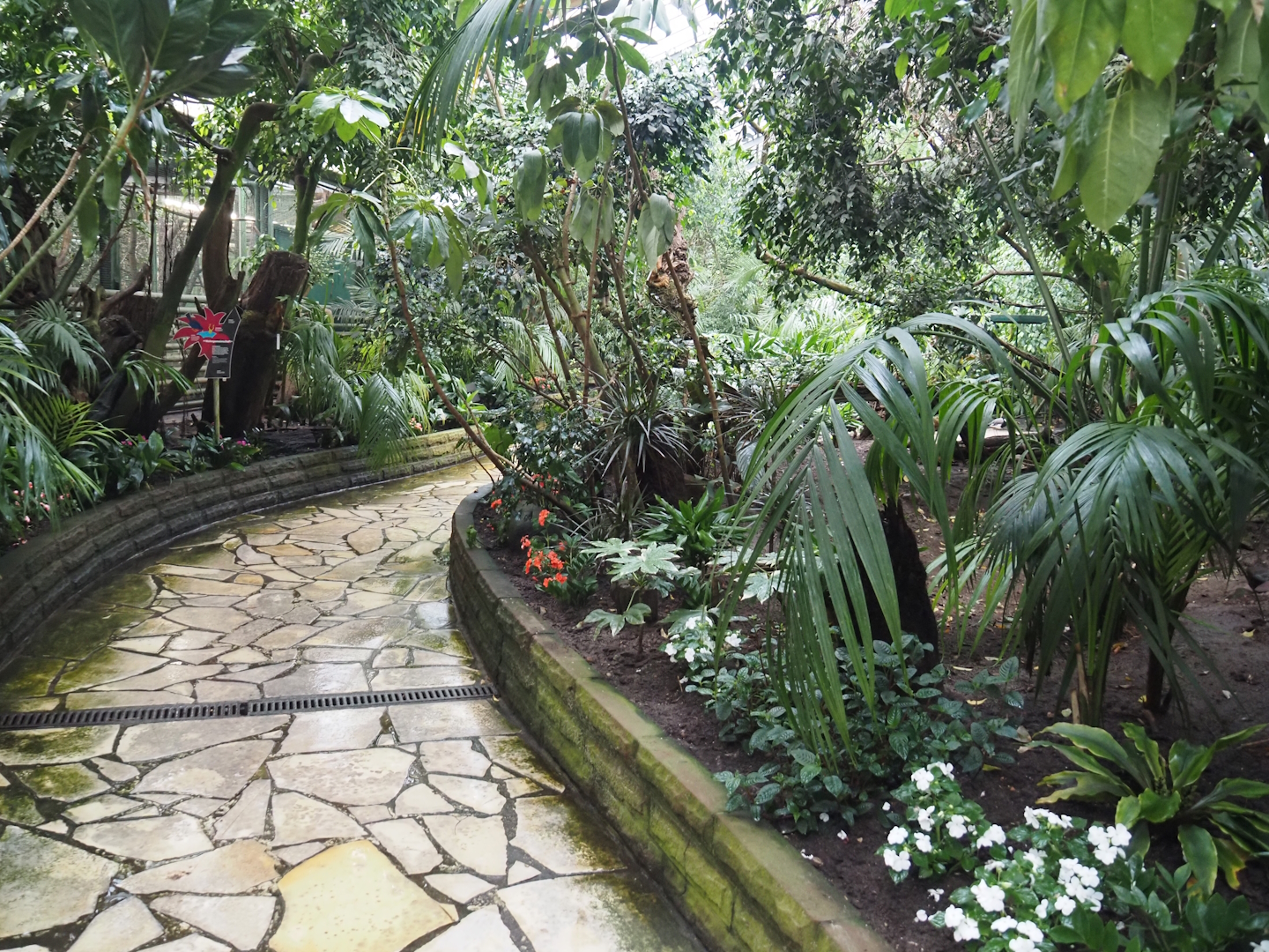 Paradies-Halle - African walk-through tropical hall, 2024-05-22