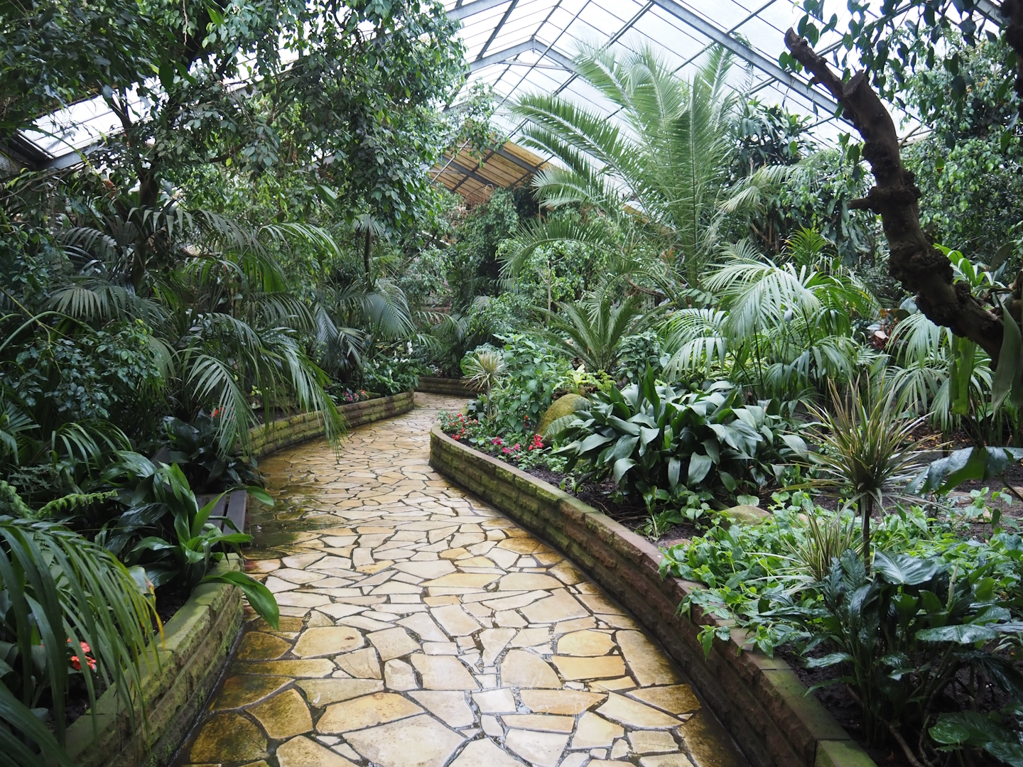 Paradies-Halle - African walk-through tropical hall, 2024-05-22