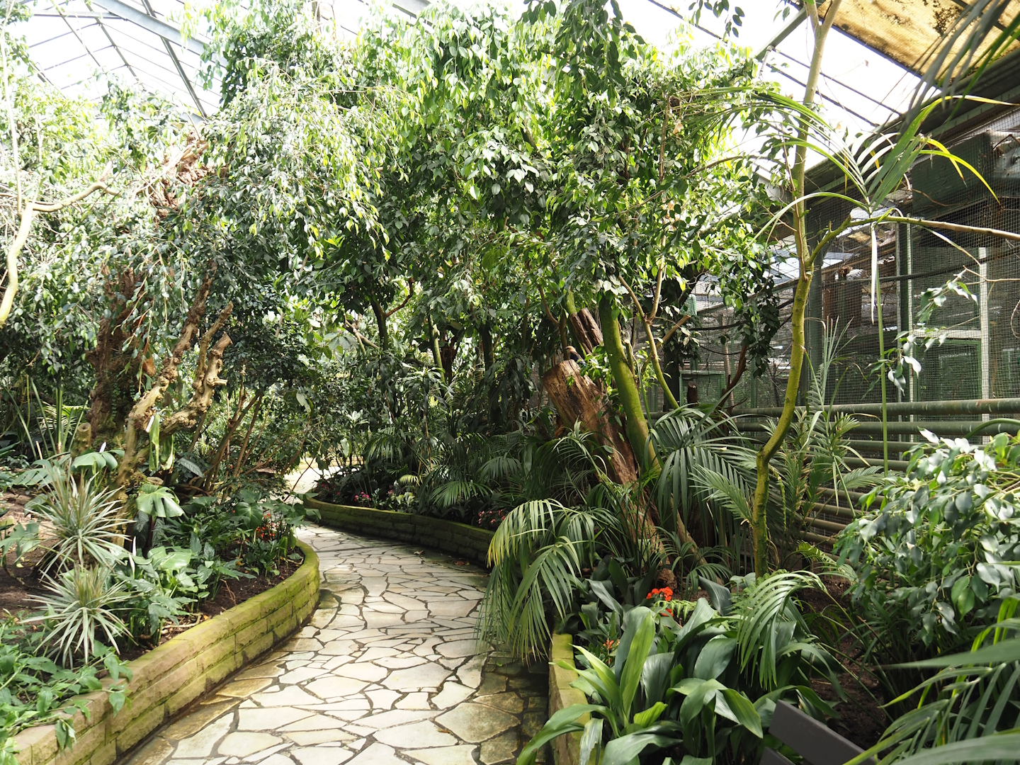Paradies-Halle - African walk-through tropical hall, 2024-05-23
