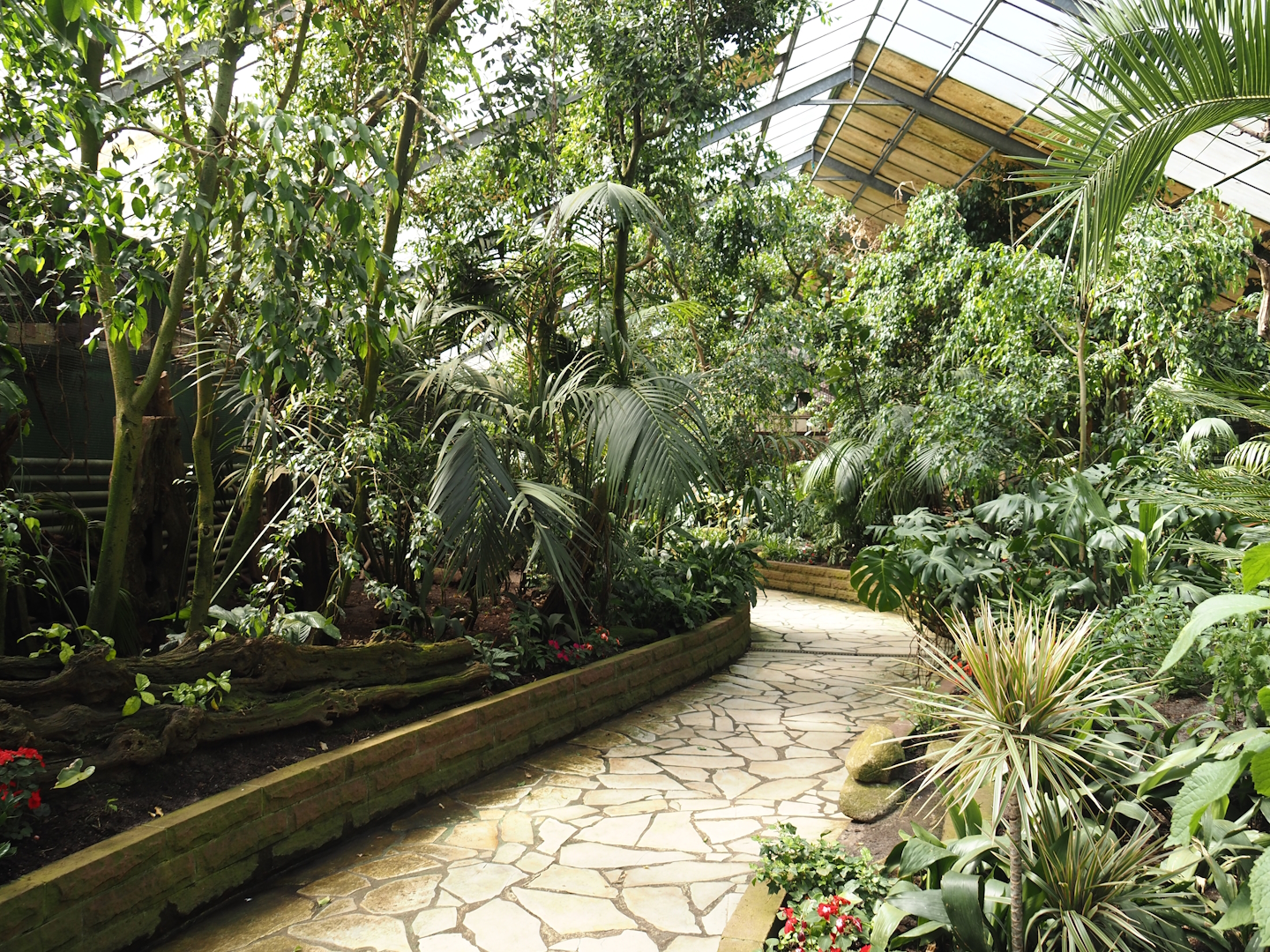Paradies-Halle - African walk-through tropical hall, 2024-05-23