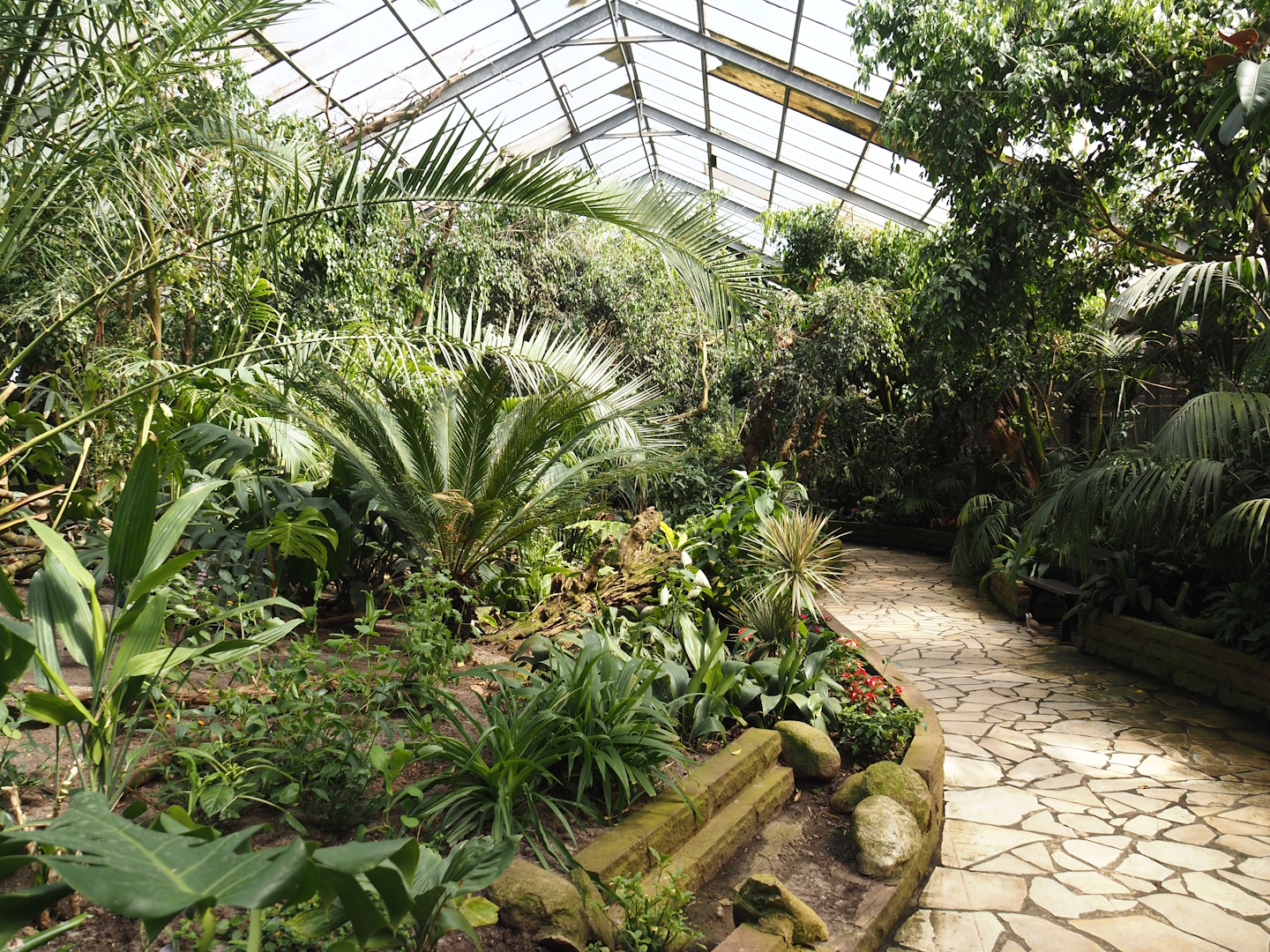 Paradies-Halle - African walk-through tropical hall, 2024-05-23