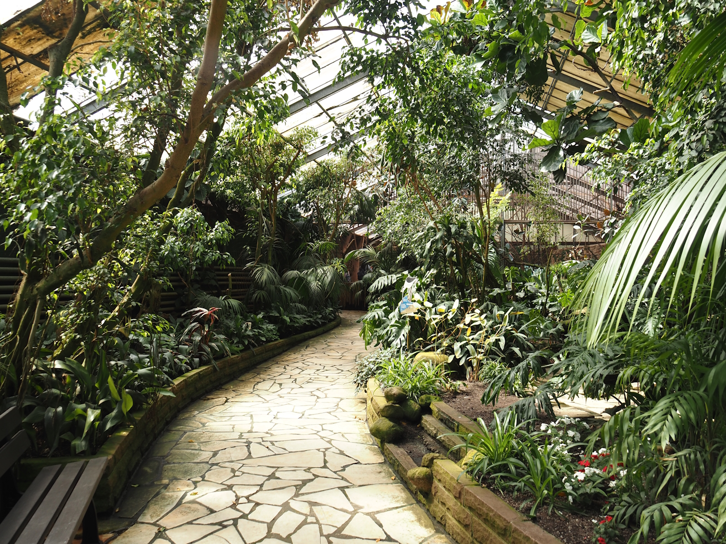 Paradies-Halle - African walk-through tropical hall, 2024-05-23