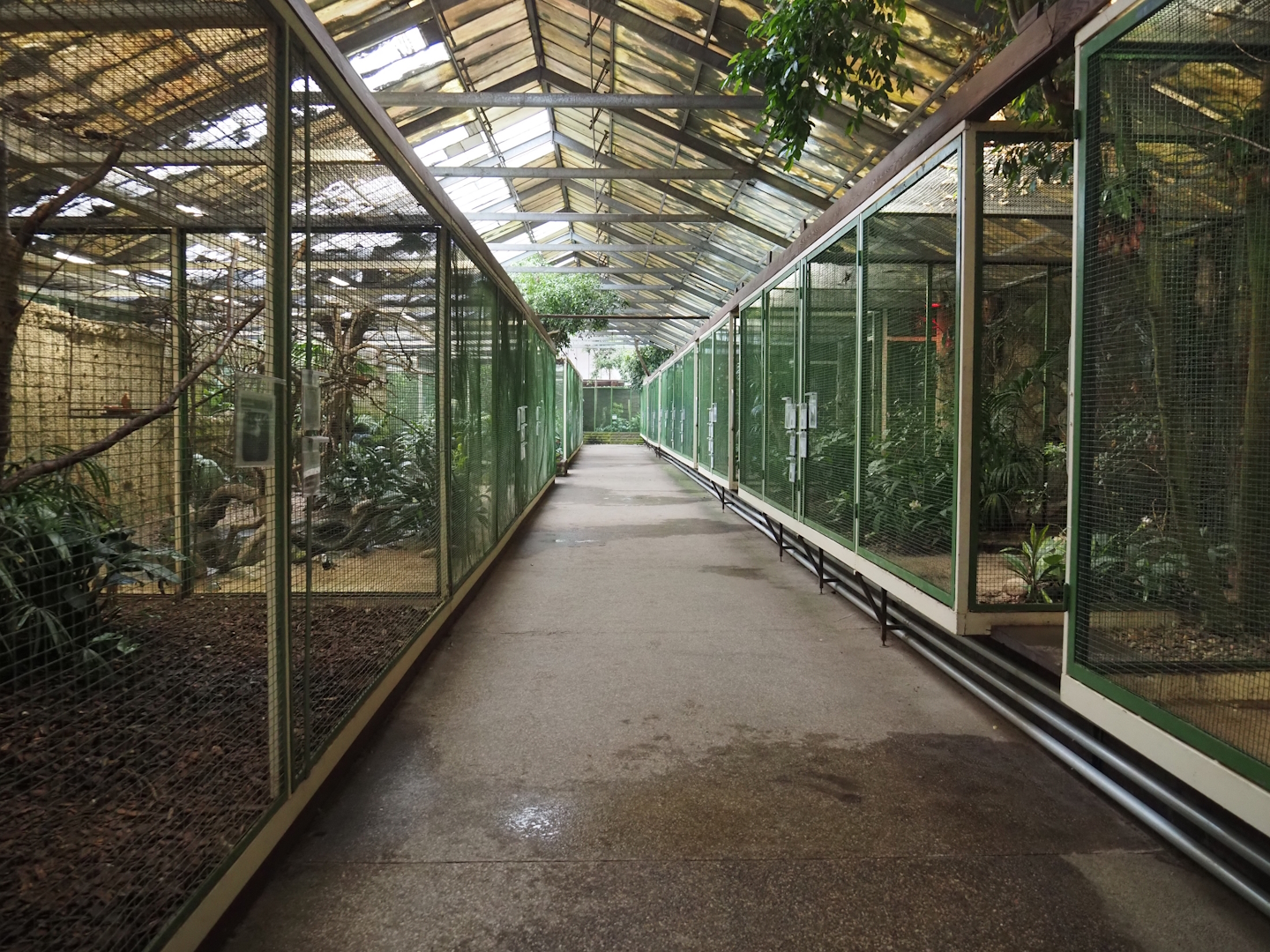 Paradies-Halle - Aviary hall, 2024-05-22