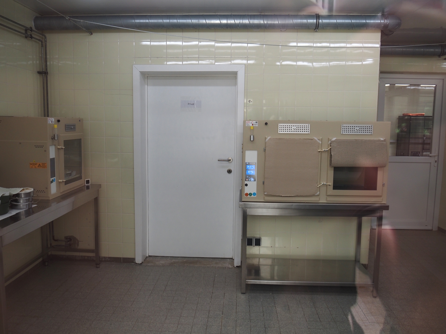 Paradies-Halle nursery, 2024-05-21