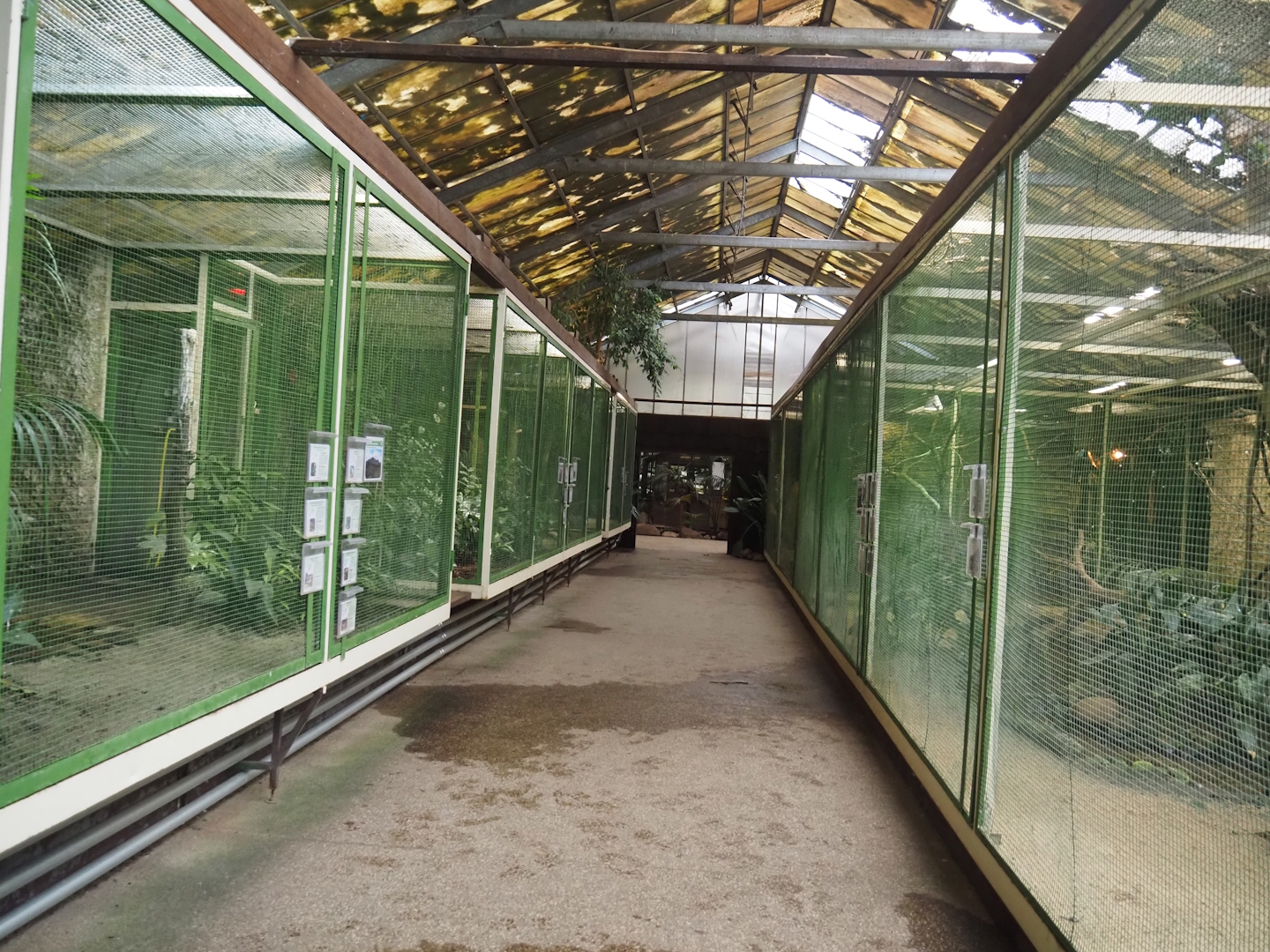 Paradies-Halle - View of aviary hall, 2024-05-22