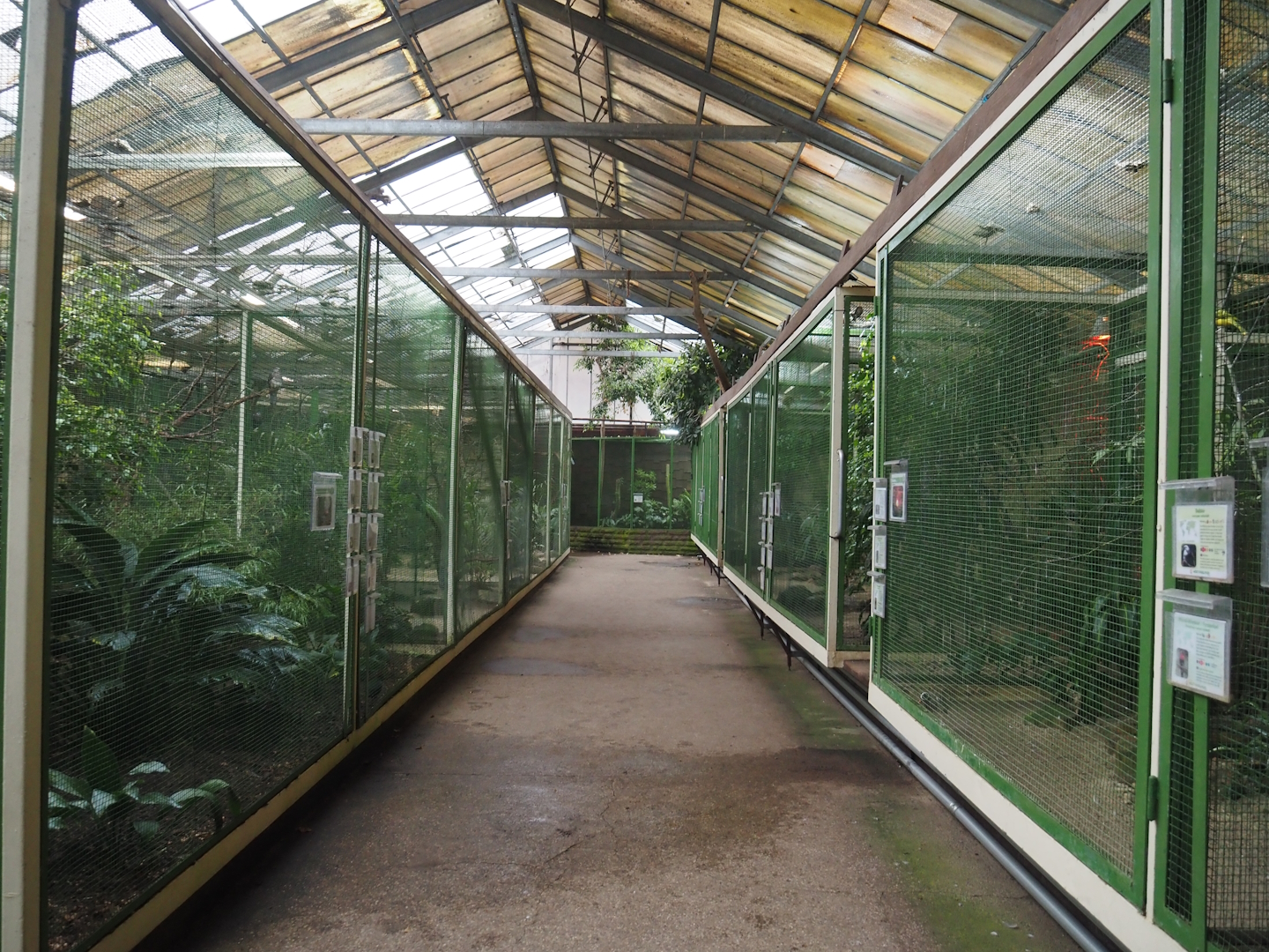 Paradies-Halle - View of aviary hall, 2024-05-23
