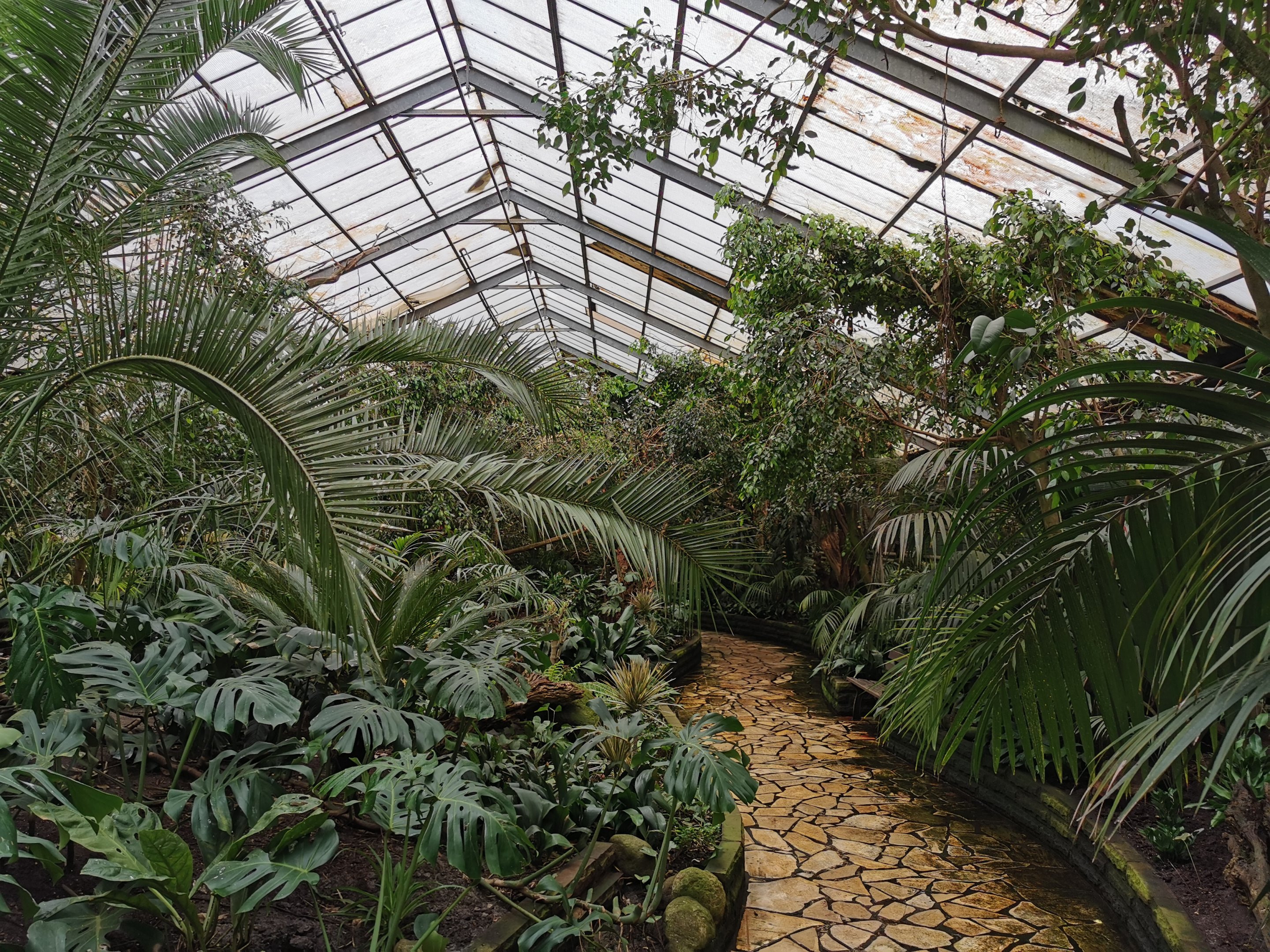 Paradieshalle - Free-flight hall