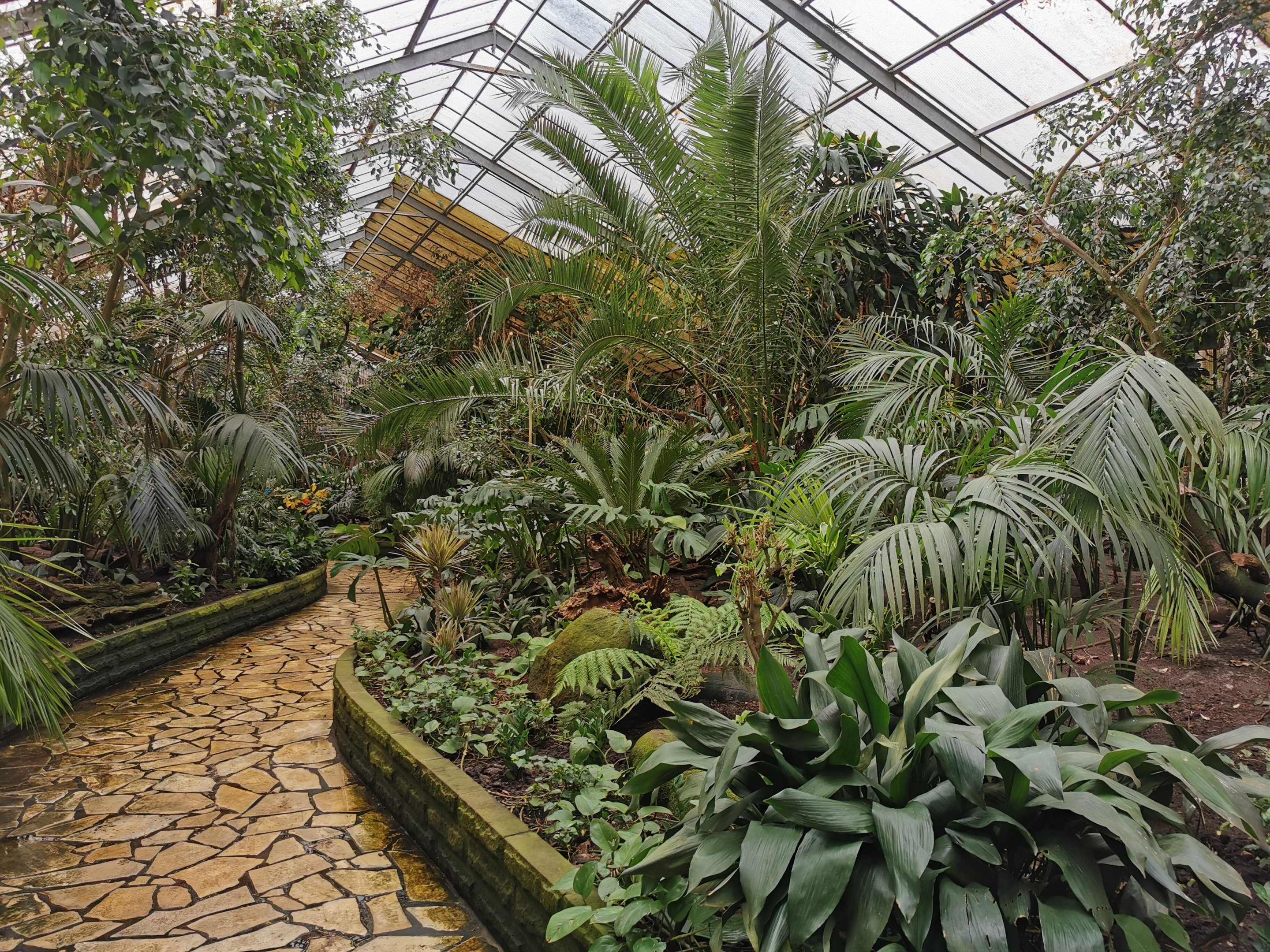 Paradieshalle - Free-flight hall