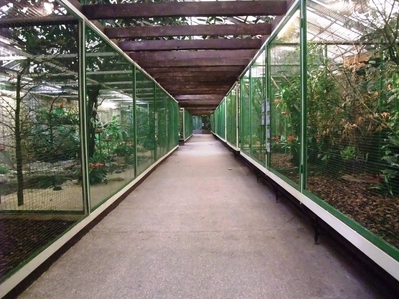 Paradieshalle (Paradise Hall) Interior at Walsrode, 22/03/13