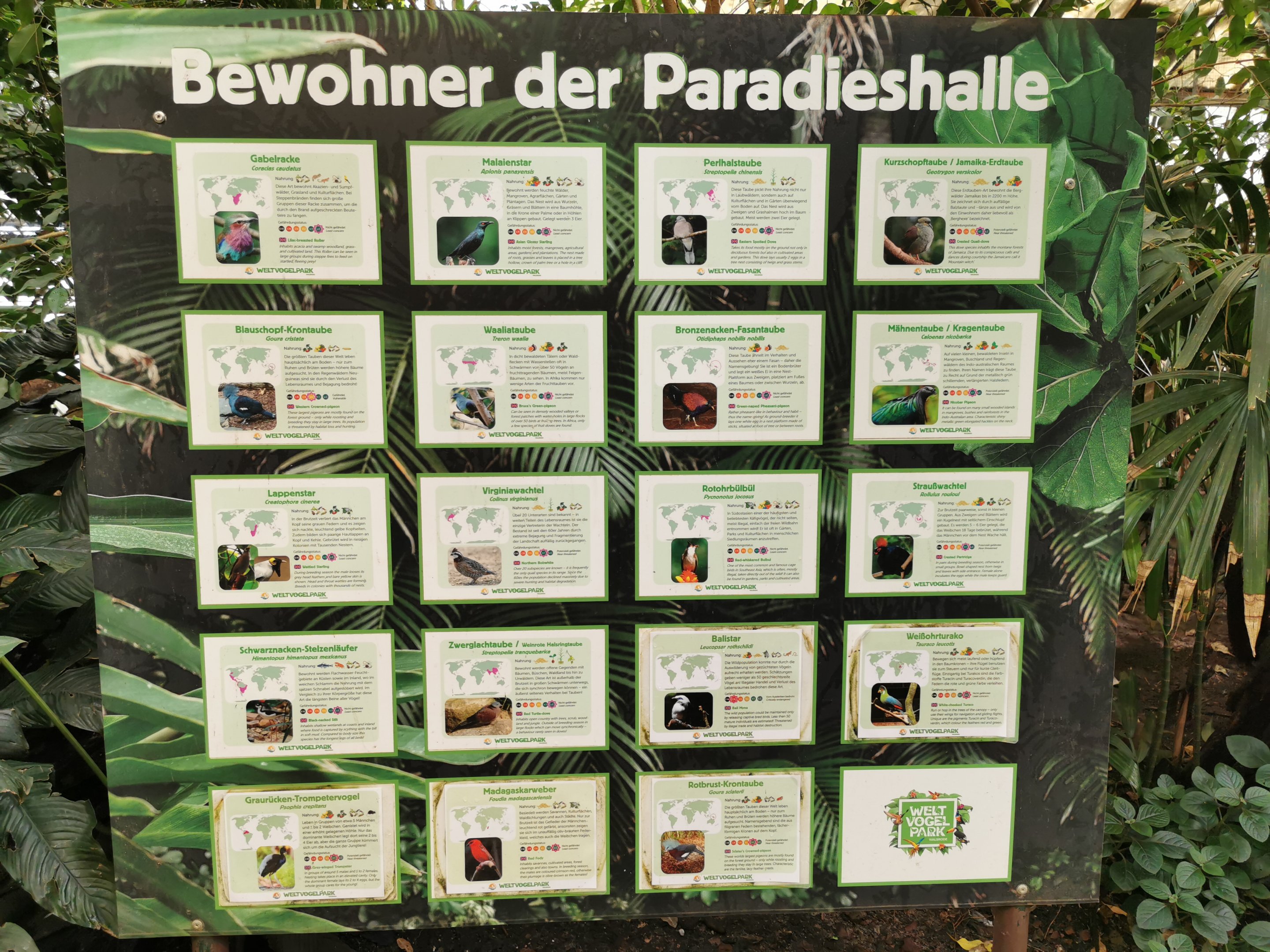 Paradieshalle species sign 4th of September 2022