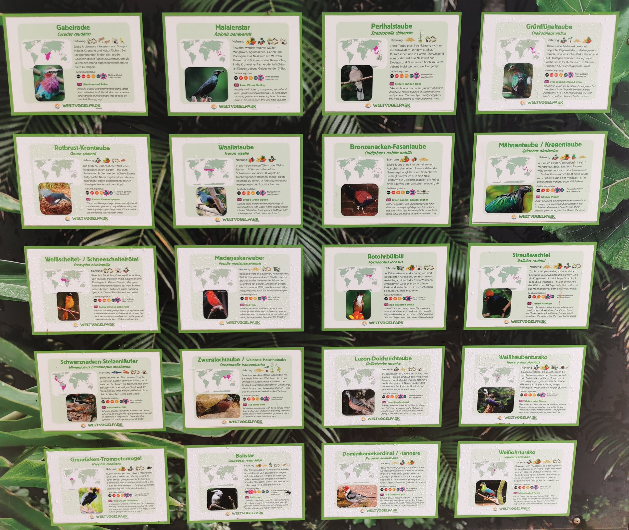 Paradieshalle, updated sign.