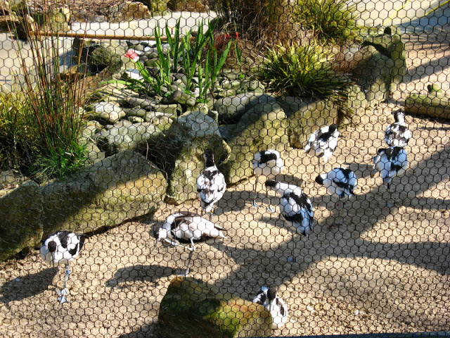 Paradise Park 20.04.2009