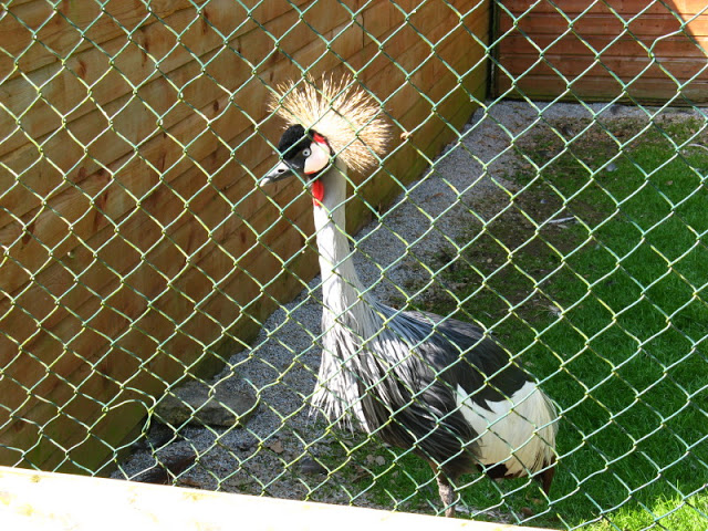 Paradise Park 20.04.2009