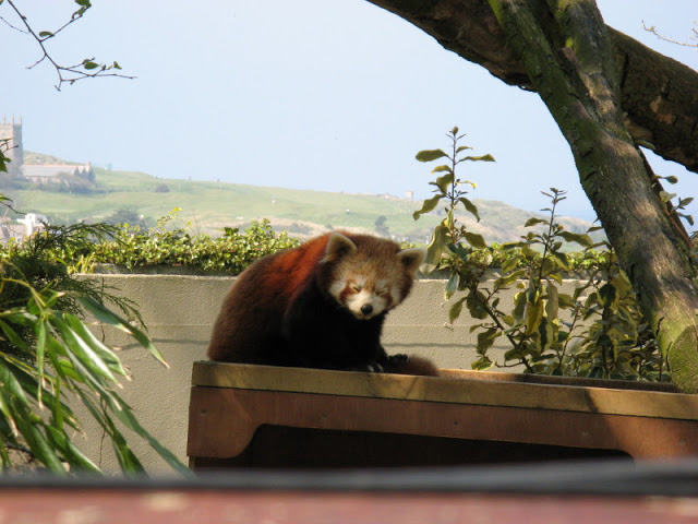 Paradise Park 20.04.2009