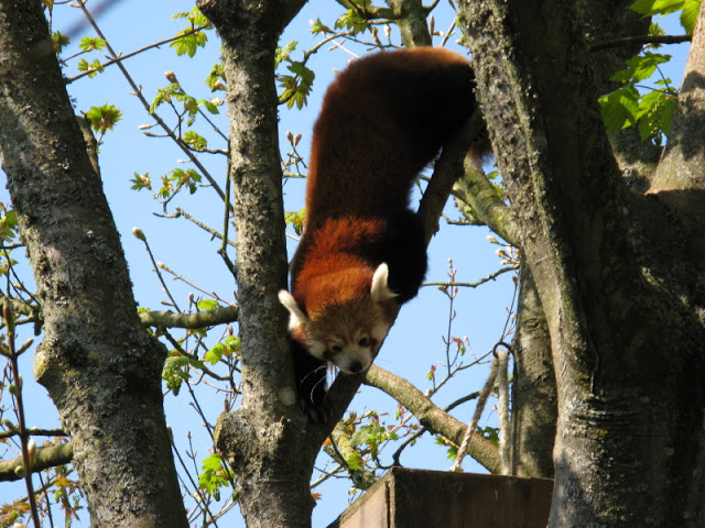 Paradise Park 20.04.2009