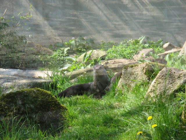 Paradise Park 20.04.2009