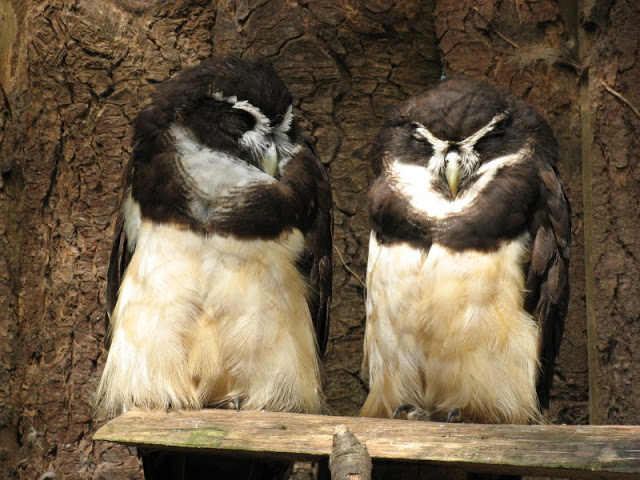 Paradise Park 20.04.2009