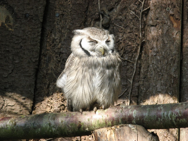 Paradise Park 20.04.2009