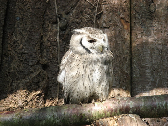 Paradise Park 20.04.2009