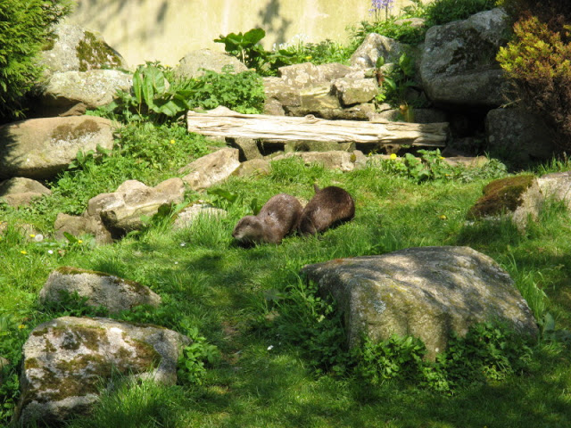 Paradise Park 20.04.2009