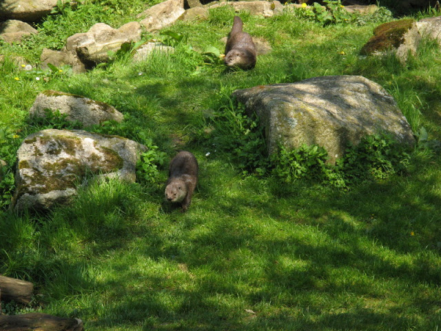 Paradise Park 20.04.2009