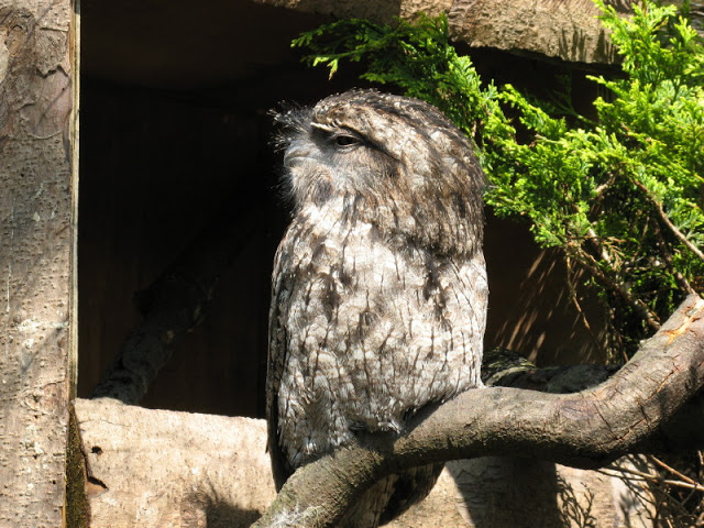 Paradise Park 20.04.2009