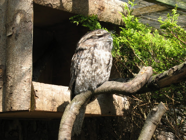 Paradise Park 20.04.2009