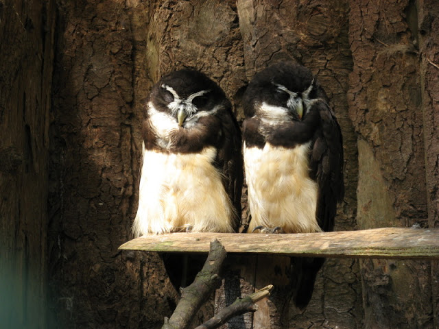 Paradise Park 20.04.2009