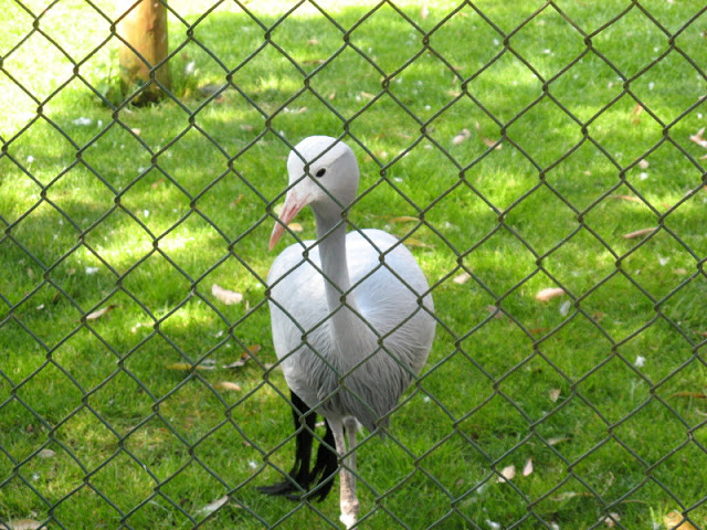 Paradise Park 20.04.2009