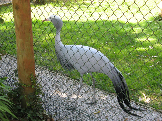 Paradise Park 20.04.2009