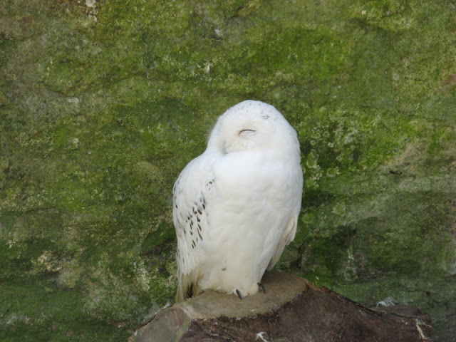 Paradise Park 20.04.2009