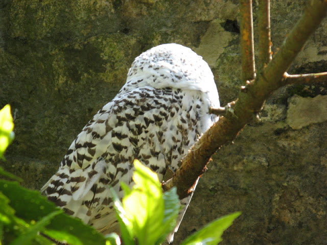 Paradise Park 20.04.2009