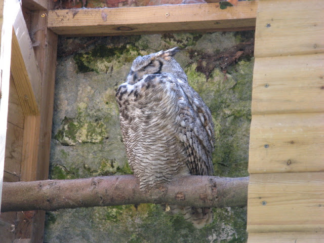 Paradise Park 20.04.2009