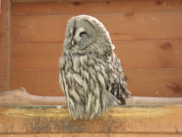 Paradise Park 20.04.2009