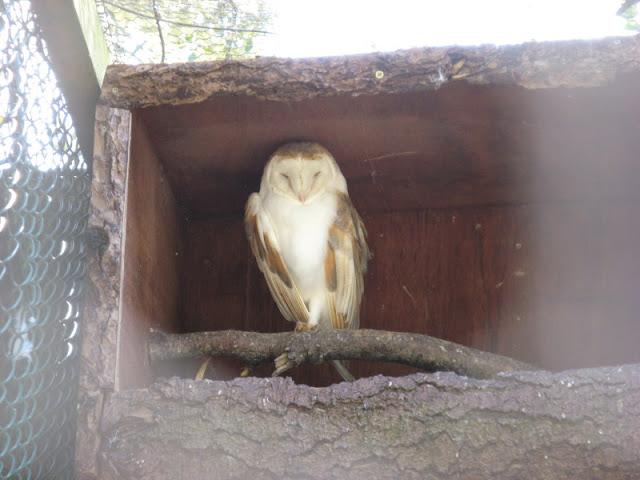 Paradise Park 20.04.2009