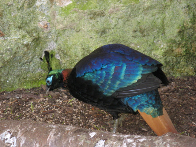 Paradise Park 20.04.2009