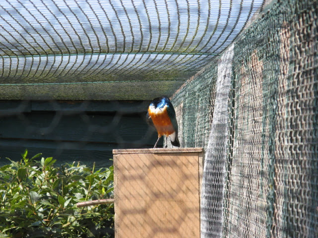 Paradise Park 20.04.2009