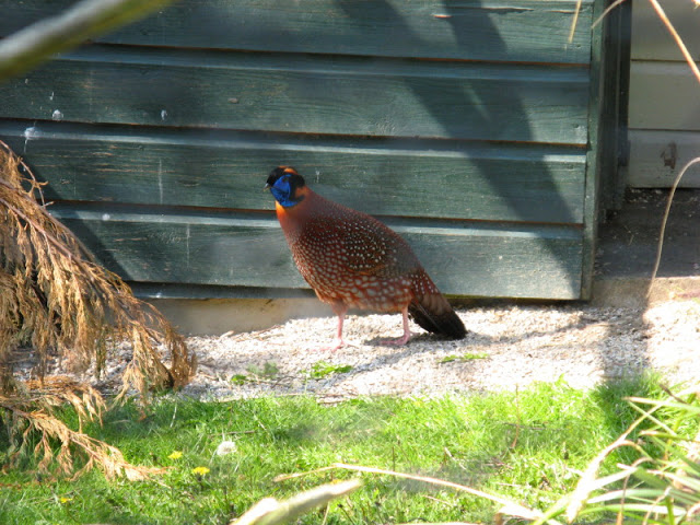 Paradise Park 20.04.2009