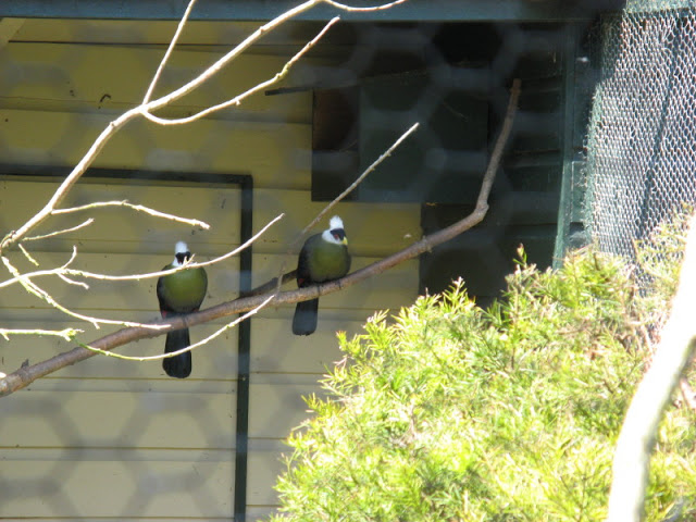 Paradise Park 20.04.2009