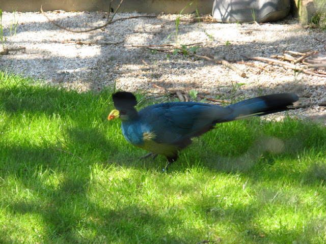 Paradise Park 20.04.2009