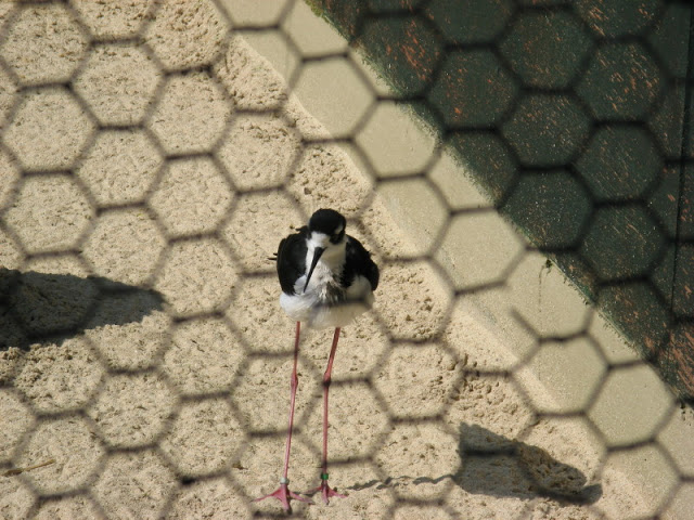 Paradise Park 20.04.2009