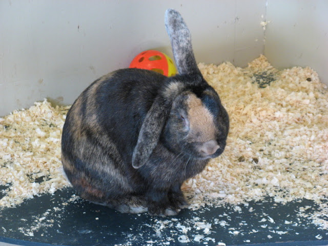 Paradise Park 20.04.2009