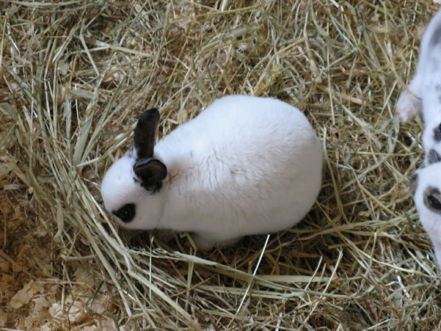 Paradise Park 20.04.2009