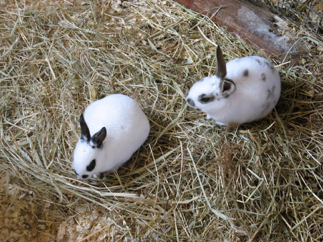 Paradise Park 20.04.2009