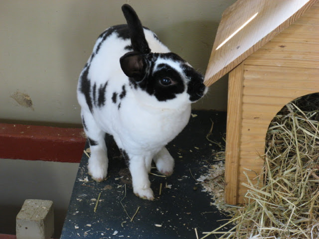 Paradise Park 20.04.2009